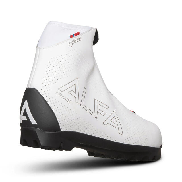 Skisko til dame 37 Alfa Horizon APS GTX W 37 5600 