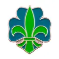 Pins NSF Logopins