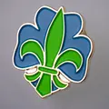 Pins NSF Logopins