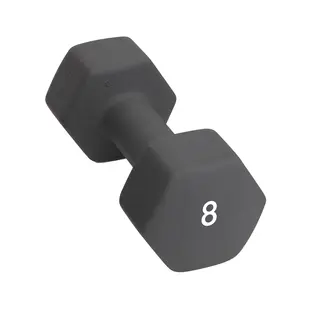 Vekt 8 kg Abilica Dumbell 8 kg