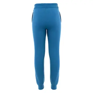 Joggebukse til junior Aclima Fleecewool Joggers Jr 374