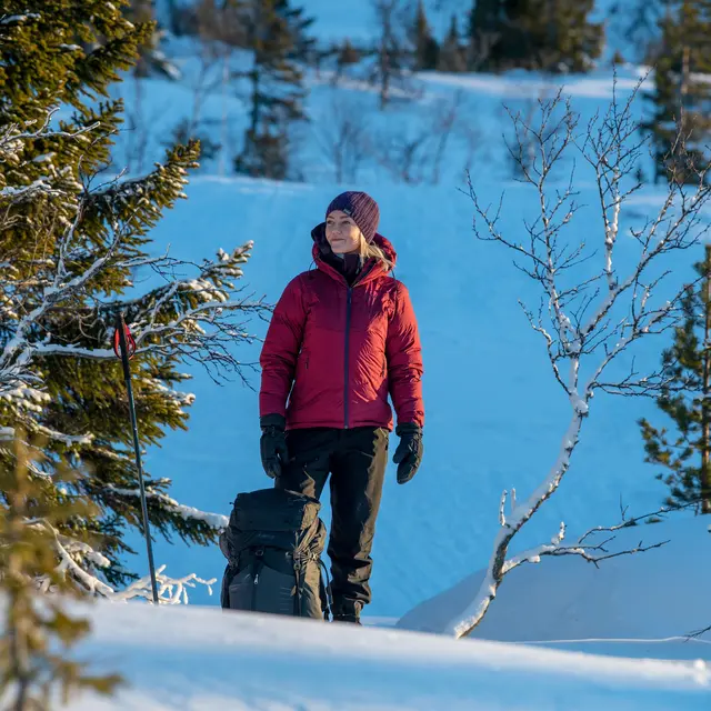 Kort skallbukse til dame Bergans Breheimen 2L Pant Short W 2851 