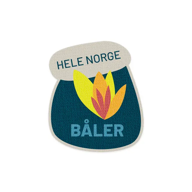 Hele Norge båler Speiderne Prosjekt Hele Norge båler 