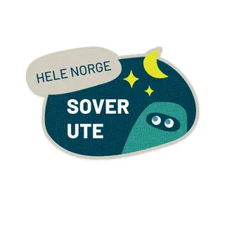 Hele Norge sover ute Speiderne Prosjekt Hele Norge sover